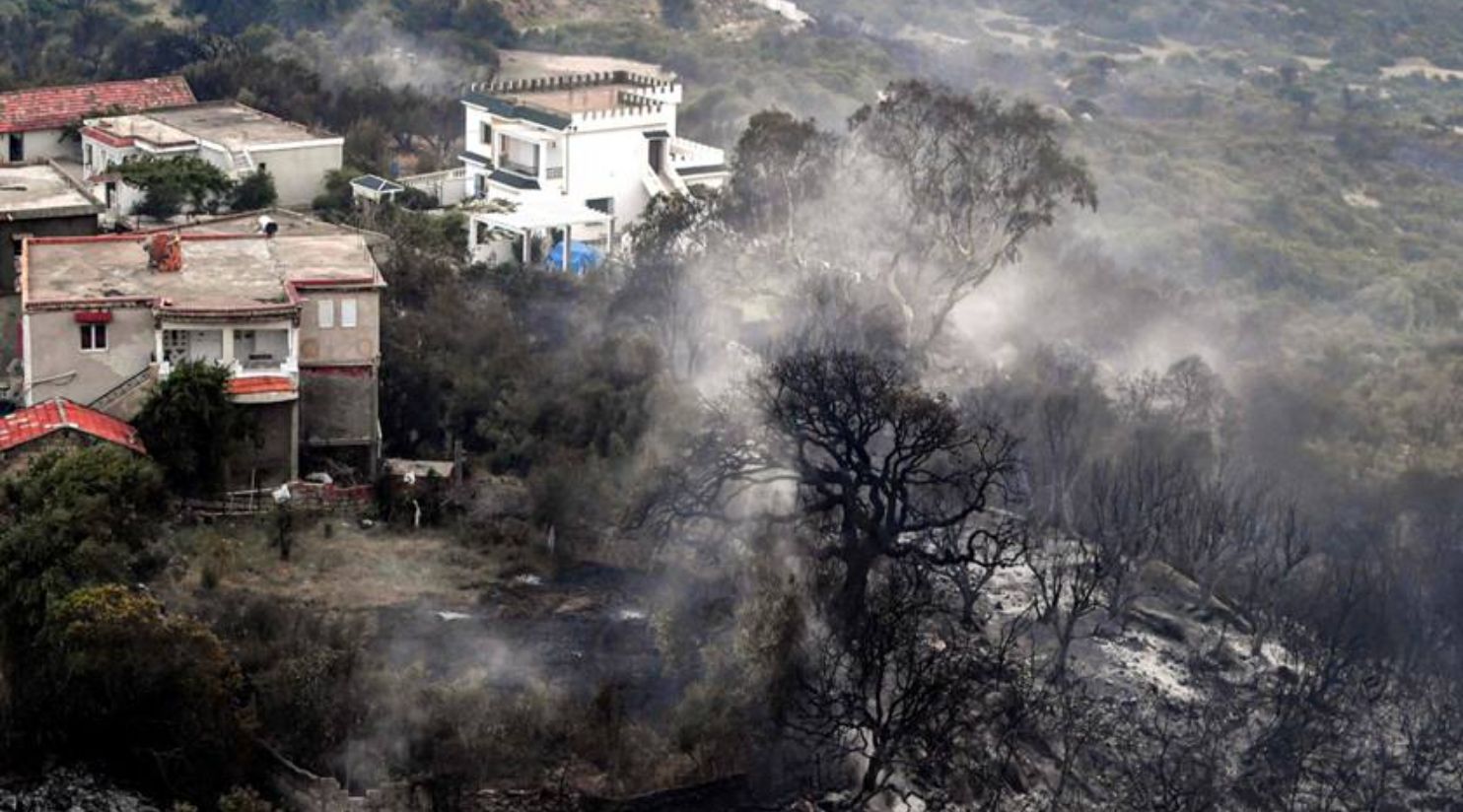 HH The Amir gives condolences to families of Algerians affected by raging wildfire