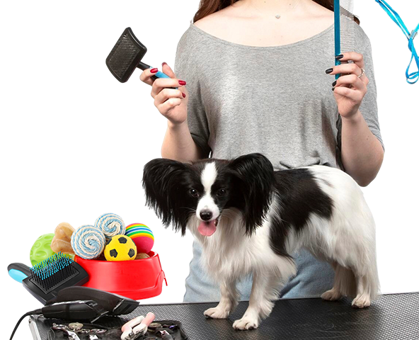 Pets & Pet Care